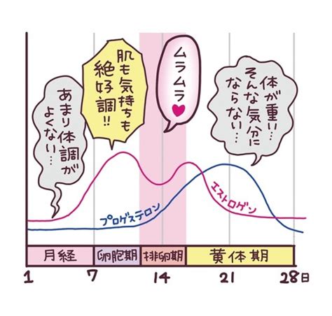 生理中は性欲がやたら強くなる......一体なぜ？